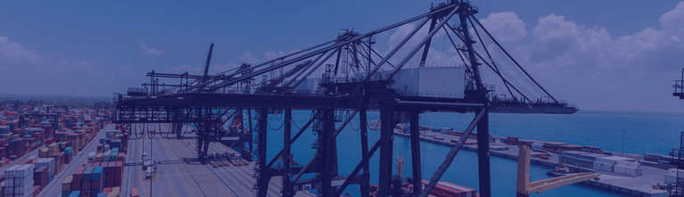 Vista panorámica de un puerto con grandes grúas de carga y numerosos contenedores de envío organizados en filas. Al fondo, el mar azul y el cielo con algunas nubes brindan un contraste con la infraestructura industrial del puerto.
